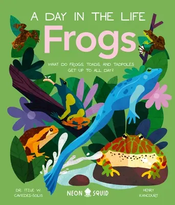 Ranas (un día en la vida): ¿Qué hacen las ranas, los sapos y los renacuajos todo el día? - Frogs (a Day in the Life): What Do Frogs, Toads, and Tadpoles Get Up to All Day?