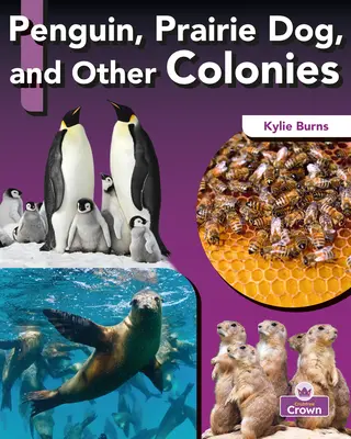 Pingüino, Perro de la Pradera y Otras Colonias - Penguin, Prairie Dog, and Other Colonies