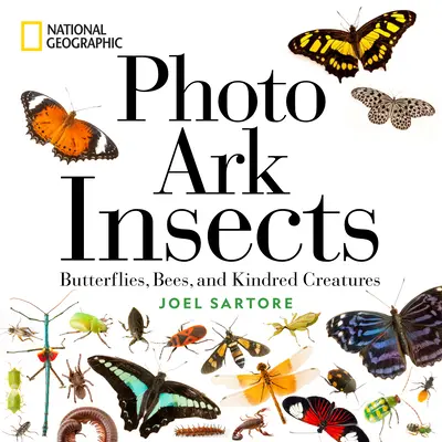 National Geographic Photo Ark Insectos: Mariposas, abejas y criaturas afines - National Geographic Photo Ark Insects: Butterflies, Bees, and Kindred Creatures