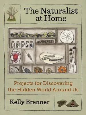 El naturalista en casa: Proyectos para descubrir el mundo oculto que nos rodea - The Naturalist at Home: Projects for Discovering the Hidden World Around Us