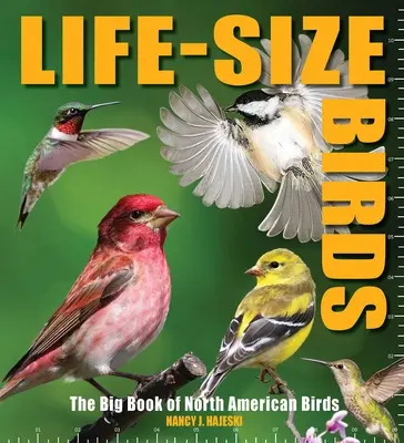 Aves a tamaño natural: El gran libro de las aves de Norteamérica - Life-Size Birds: The Big Book of North American Birds