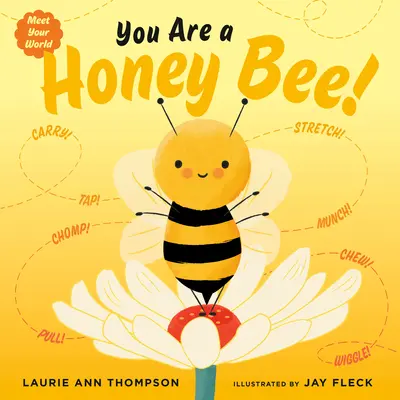 Eres una abeja - You Are a Honey Bee!