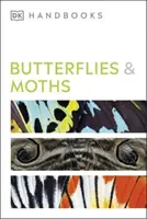 Mariposas y polillas - Butterflies and Moths