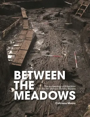 Entre los prados: La arqueología de Edercloon en la circunvalación N4 Dromod-Roosky - Between the Meadows: The Archaeology of Edercloon on the N4 Dromod-Roosky Bypass