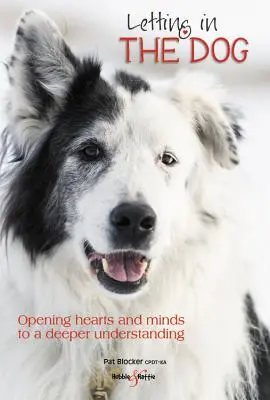 Dejar entrar al perro - Abrir los corazones y las mentes a una comprensión más profunda - Letting in the dog - Opening hearts and minds to a deeper understanding