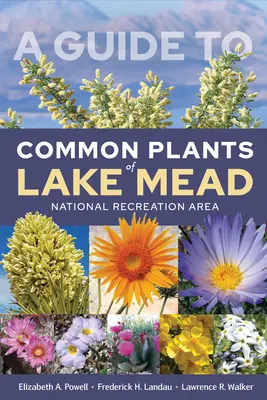 Guía de plantas comunes del Área Recreativa Nacional del Lago Mead - A Guide to Common Plants of Lake Mead National Recreation Area