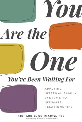 You Are the One You've Been Waiting for: Aplicación de los sistemas familiares internos a las relaciones íntimas - You Are the One You've Been Waiting for: Applying Internal Family Systems to Intimate Relationships