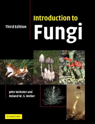 Introducción a los hongos - Introduction to Fungi