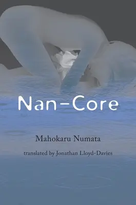 Nanonúcleo - Nan-Core