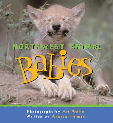 Bebés animales del noroeste - Northwest Animal Babies