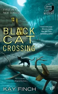 La travesía del gato negro - Black Cat Crossing