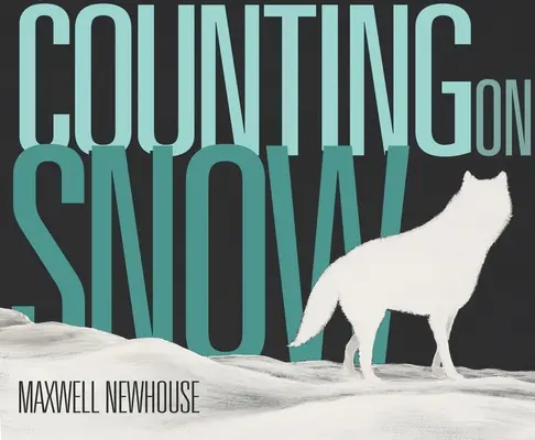 Contando con la nieve - Counting on Snow