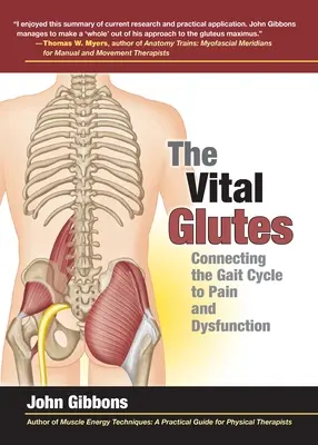 Los glúteos vitales: La conexión del ciclo de la marcha con el dolor y la disfunción - The Vital Glutes: Connecting the Gait Cycle to Pain and Dysfunction