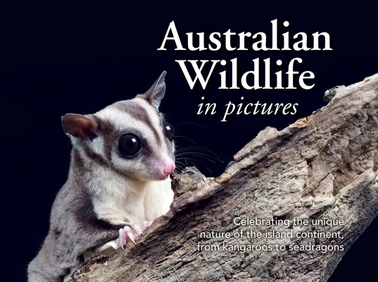 La fauna australiana en imágenes: Celebración de la naturaleza única del continente insular, desde canguros hasta dragones marinos - Australian Wildlife in Picture: Celebrating the Unique Nature of the Island Continent, from Kangaroos to Sea Dragons