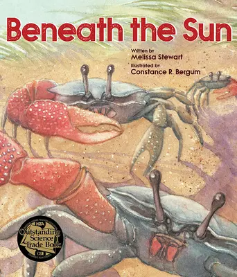 Bajo el sol - Beneath the Sun