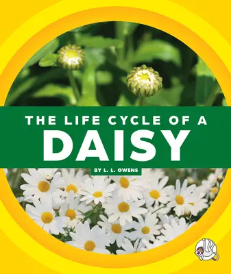 El ciclo vital de una margarita - The Life Cycle of a Daisy