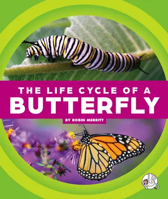 El ciclo vital de una mariposa - The Life Cycle of a Butterfly