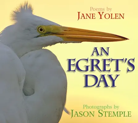 El día de una garceta - An Egret's Day