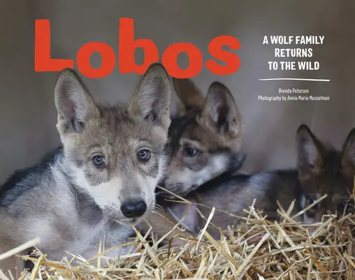 Lobos: Una familia de lobos regresa a la naturaleza - Lobos: A Wolf Family Returns to the Wild