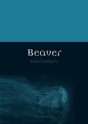 Castor - Beaver