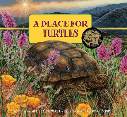 Un lugar para las tortugas - A Place for Turtles