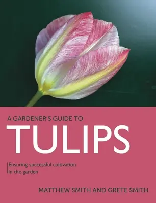 Tulipanes: El éxito del cultivo en el jardín - Tulips: Ensuring Successful Cultivation in the Garden