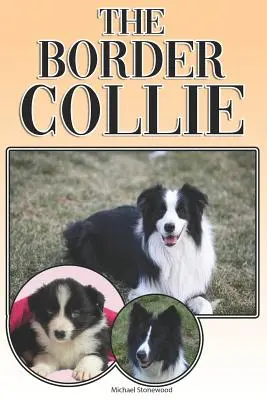 El Border Collie: Guía completa y exhaustiva para el propietario: Compra, Tenencia, Salud, Aseo, Adiestramiento, Obediencia, Comprensión y - The Border Collie: A Complete and Comprehensive Owners Guide To: Buying, Owning, Health, Grooming, Training, Obedience, Understanding and