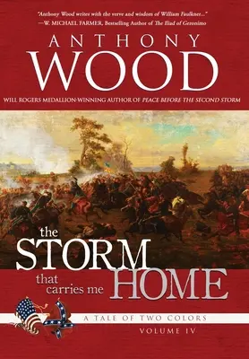 La tormenta que me lleva a casa: Una historia de la Guerra Civil - The Storm That Carries Me Home: A Story of the Civil War