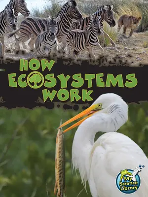 Cómo funcionan los ecosistemas - How Ecosystems Work