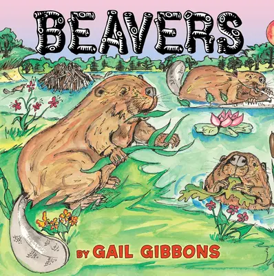 Castores - Beavers
