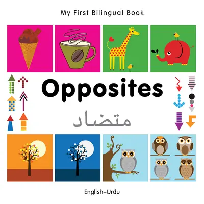 Mi Primer Libro Bilingüe-Oppositos (Inglés-Urdu) - My First Bilingual Book-Opposites (English-Urdu)