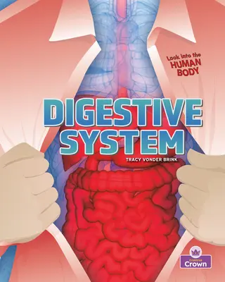 Aparato digestivo - Digestive System