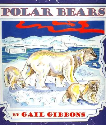 Osos polares - Polar Bears