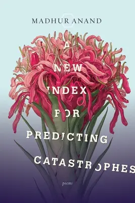 Un nuevo índice para predecir catástrofes - A New Index for Predicting Catastrophes