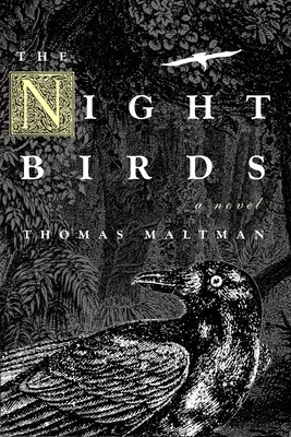 Los Pájaros de la Noche - The Night Birds