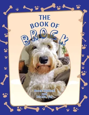 El libro de Brock - The Book of Brock