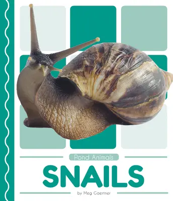 Caracoles - Snails