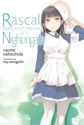 Bribón no sueña con un ruiseñor (Novela ligera) - Rascal Does Not Dream of a Nightingale (Light Novel)