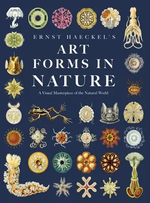 Formas artísticas en la naturaleza de Ernst Haeckel: Una obra maestra visual del mundo natural - Ernst Haeckel's Art Forms in Nature: A Visual Masterpiece of the Natural World