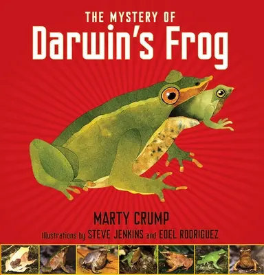 El misterio de la rana de Darwin - The Mystery of Darwin's Frog