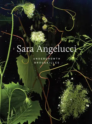 Sara Angelucci: Sotobosque / Broussailles - Sara Angelucci: Undergrowth / Broussailles
