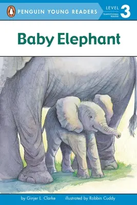 Elefante bebé - Baby Elephant