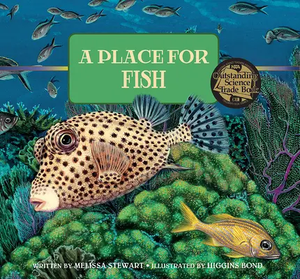 Un lugar para los peces - A Place for Fish