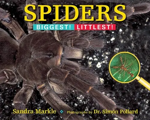 Arañas: ¡Las más grandes! Las más pequeñas - Spiders: Biggest! Littlest!