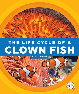 El ciclo vital de un pez payaso - The Life Cycle of a Clown Fish