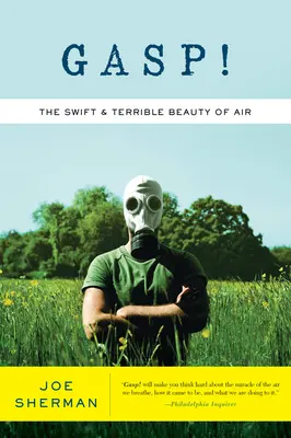 La rápida y terrible belleza del aire - Gasp!: The Swift & Terrible Beauty of Air