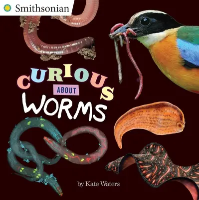 Curiosidad por los gusanos - Curious about Worms