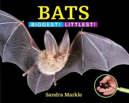 Murciélagos: ¡El más grande! El más pequeño - Bats: Biggest! Littlest!