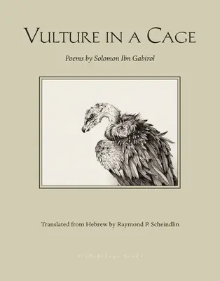 Buitre enjaulado - Vulture in a Cage