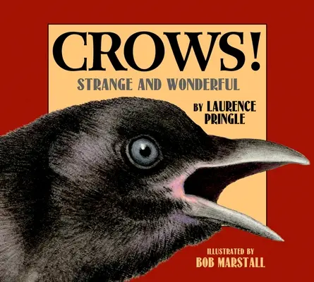 ¡Cuervos! Extraño y Maravilloso - Crows!: Strange and Wonderful